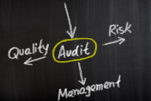 Grafik die die Auswirkung eines Audits auf die Beherrschung der Themen Qualität, Management und Risiken zeigt.